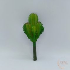 Pozsgás mű növény - kaktusz