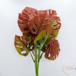 Monstera bokor