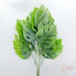 Monstera bokor