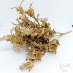 Ilex csokor