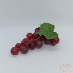 Szőlő