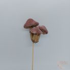 Gomba pick szőrmés