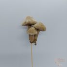 Gomba pick szőrmés