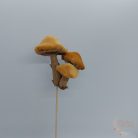 Gomba pick szőrmés