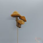 Gomba pick szőrmés