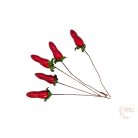 Paprika pick