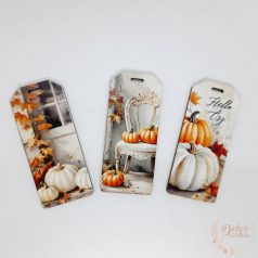 Fehér-narancs tökös biléták